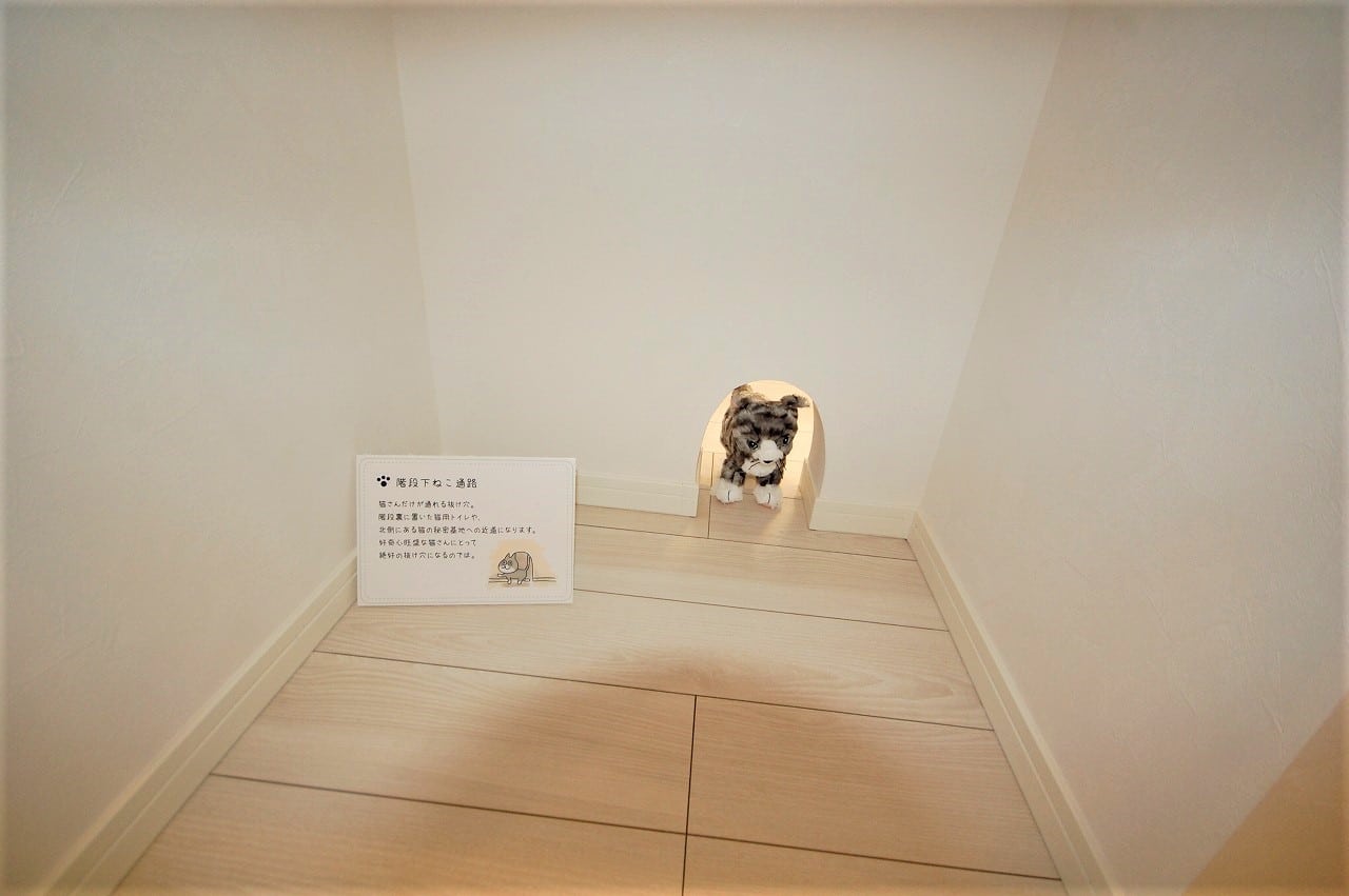 画像9